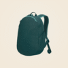 Everyday Backpack